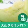画像1: 【予約販売】大山タカミメロン 秀　特（２玉）【6月下旬〜7月中旬頃発送】　★数量限定★ (1)