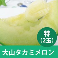 【予約販売】大山タカミメロン 秀　特（２玉）【6月下旬〜7月中旬頃発送】　★数量限定★