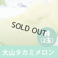 【予約販売】大山タカミメロン 秀　特（２玉）【6月下旬〜7月中旬頃発送】　★数量限定★