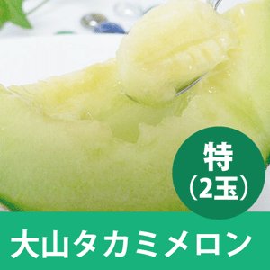 画像1: 【予約販売】大山タカミメロン 秀　特（２玉）【6月下旬〜7月中旬頃発送】　★数量限定★