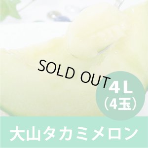 画像1: 【予約販売】大山タカミメロン 秀4Ｌ(4玉）【6月下旬〜7月中旬頃発送】★数量限定★