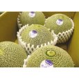 画像2: 【予約販売】大山タカミメロン 秀4Ｌ(4玉）【6月下旬〜7月中旬頃発送】★数量限定★ (2)