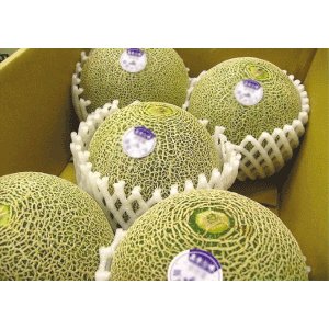 画像2: 【予約販売】大山タカミメロン 秀4Ｌ(4玉）【6月下旬〜7月中旬頃発送】★数量限定★