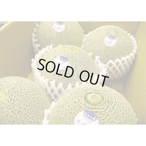 画像2: 【予約販売】大山タカミメロン 秀4Ｌ(4玉）【6月下旬〜7月中旬頃発送】★数量限定★