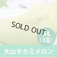 【予約販売】大山タカミメロン　秀 5 L（3玉）【6月下旬〜7月中旬頃発送】 ★数量限定★