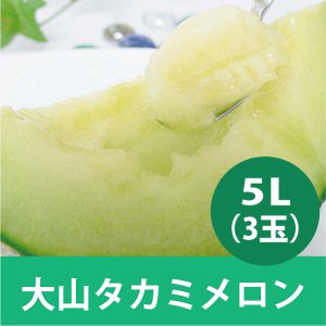 画像1: 【予約販売】大山タカミメロン　秀 5 L（3玉）【6月下旬〜7月中旬頃発送】 ★数量限定★