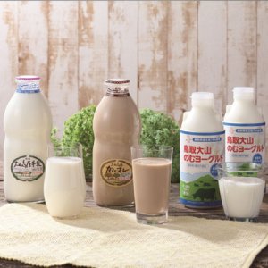 画像3: ☆送料込み☆【大山乳業】大山おいしい ミルク＆のむヨーグルト（冷蔵）