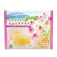 画像2: 【大山じんがまえ】大山 エキナセア  箱入り（ティーパック/3g×15P） (2)