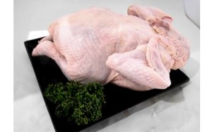 画像1: 大山産ハーブチキン丸鶏１羽（中抜き）　約1.8〜2.5ｋｇ（冷凍）★送料込み★