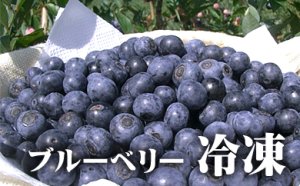 画像2: ブルーベリー（冷凍） １.２kg
