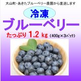 ブルーベリー（冷凍） １.２kg