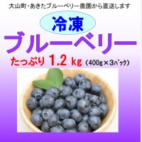 ブルーベリー（冷凍） １.２kg