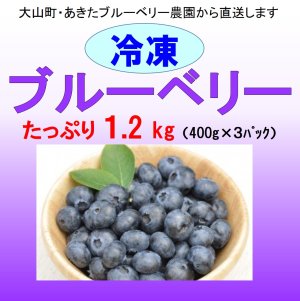 画像1: ブルーベリー（冷凍） １.２kg