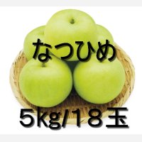 ＜先行予約販売＞『鳥取県限定品種』　なつひめ ５kg 詰 （１８玉入/Ｌサイズ）【ギフトに最適】【８月中旬より順次発送予定】