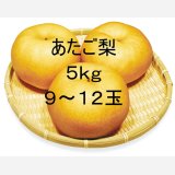 ☆【先行予約販売】大山町産・あたご梨 5kg 詰 （9~12玉入）11月下旬発送【お歳暮ギフトに最適】※玉数のご指定はお受け出来ません。どちらかの玉数でのお届けになります。