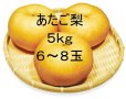画像1: ☆【先行予約販売】大山町産・あたご梨 5kg 詰 （6~8玉入）11月下旬発送【お歳暮ギフトに最適】※玉数のご指定はお受け出来ません。どちらかの玉数でのお届けになります。 (1)