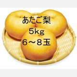 ☆【先行予約販売】大山町産・あたご梨 5kg 詰 （6~8玉入）11月下旬発送【お歳暮ギフトに最適】※玉数のご指定はお受け出来ません。どちらかの玉数でのお届けになります。