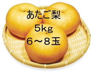画像1: ☆【先行予約販売】大山町産・あたご梨 5kg 詰 （6~8玉入）11月下旬発送【お歳暮ギフトに最適】※玉数のご指定はお受け出来ません。どちらかの玉数でのお届けになります。