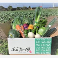 ふるさと便  〜新鮮な大山町産の旬野菜を箱いっぱいに詰めました  　　　　　　　　　　　　　　　　　　　　　　　　