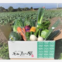 ふるさと便  〜新鮮な大山町産の旬野菜を箱いっぱいに詰めました  　　　　　　　　　　　　　　　　　　　　　　　　
