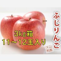 【予約販売】＜大山町産＞ふじりんご　3kg 11玉〜12玉入り　進物用【11月中旬〜12月中旬頃の発送】
