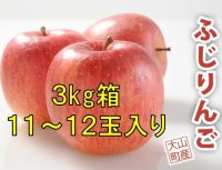 【予約販売】＜大山町産＞ふじりんご　3kg 11玉〜12玉入り　進物用【11月中旬〜12月中旬頃の発送】