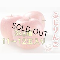 【予約販売】＜大山町産＞ふじりんご　3kg 11玉〜12玉入り　進物用【11月中旬〜12月中旬頃の発送】