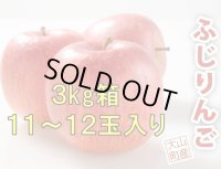 【予約販売】＜大山町産＞ふじりんご　3kg 11玉〜12玉入り　進物用【11月中旬〜12月中旬頃の発送】