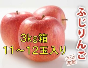 画像1: 【予約販売】＜大山町産＞ふじりんご　3kg 11玉〜12玉入り　進物用【11月中旬〜12月中旬頃の発送】