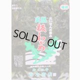 【旬物！】☆お得な10枚セット☆　山陰名産（大山町産）　天然板わかめ 30g×10袋　