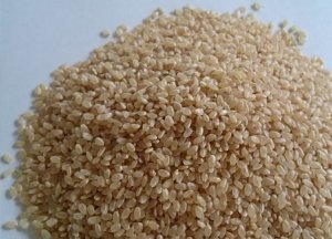 画像1: 大山町産こしひかり【大山の一粒】(玄米） 2kg （令和8年 大山町産）