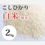 大山町産こしひかり【大山の一粒】(白米） 2kg （令和8年 大山町産）