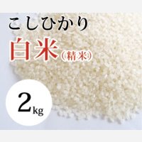 大山町産こしひかり【大山の一粒】(白米） 2kg （令和8年 大山町産）