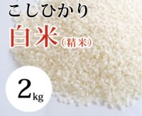 大山町産こしひかり【大山の一粒】(白米） 2kg （令和8年 大山町産）