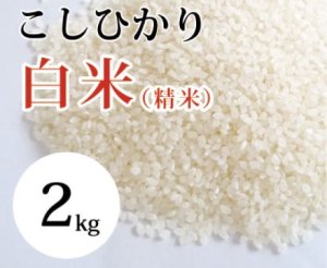 画像1: 大山町産こしひかり【大山の一粒】(白米） 2kg （令和8年 大山町産）