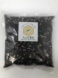 大山の黒米（玄米）800ｇ（2024年産）