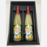 【オリジナル商品】新甘泉ジュース　2本　化粧箱入り
