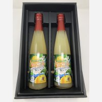 【オリジナル商品】新甘泉ジュース　2本　化粧箱入り
