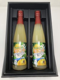 【オリジナル商品】新甘泉ジュース　2本　化粧箱入り