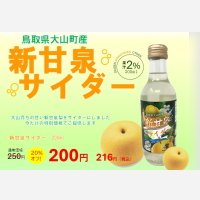 【オリジナル商品】新甘泉サイダー　20％OFF（訳あり品）