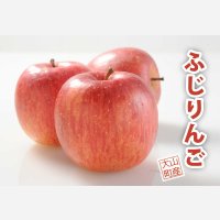 【予約販売】＜大山町産＞ふじりんご　3kg 13玉〜14玉入り　家庭用（小玉）【12月中旬〜1月中旬頃の発送】