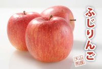 【予約販売】＜大山町産＞ふじりんご　3kg 13玉〜14玉入り　家庭用（小玉）【12月中旬〜1月中旬頃の発送】