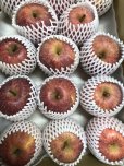 画像3: 【予約販売】＜大山町産＞ふじりんご　3kg 13玉〜14玉入り　家庭用（小玉）【12月中旬〜1月中旬頃の発送】 (3)