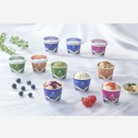 ☆送料込み☆【大山乳業】 白バラプレミアムアイスギフト１０個入（冷凍）