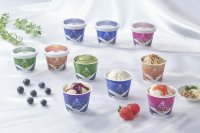 ☆送料込み☆【大山乳業】 白バラプレミアムアイスギフト１０個入（冷凍）