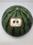 画像1: ☆＜予約販売＞倉吉スイカ “秀”　4L（1玉、約9.5ｋｇ）【6月上旬〜7月上旬頃発送】　 (1)