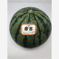 ☆＜予約販売＞倉吉スイカ “秀”　4L（1玉、約9.5ｋｇ）【6月上旬〜7月上旬頃発送】　