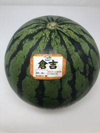 ☆＜予約販売＞倉吉スイカ “秀”　特（1玉、約11ｋｇ）【6月上旬〜7月上旬頃発送】　