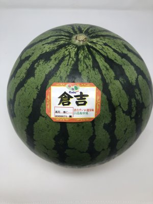 画像1: ☆＜予約販売＞倉吉スイカ “秀”　4L（1玉、約9.5ｋｇ）【6月上旬〜7月上旬頃発送】　