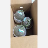 ☆＜予約販売＞鳥取県産ペルルメロン7ｋｇ “秀”（3玉）【6月上旬〜7月上旬頃発送】　★数量限定★
